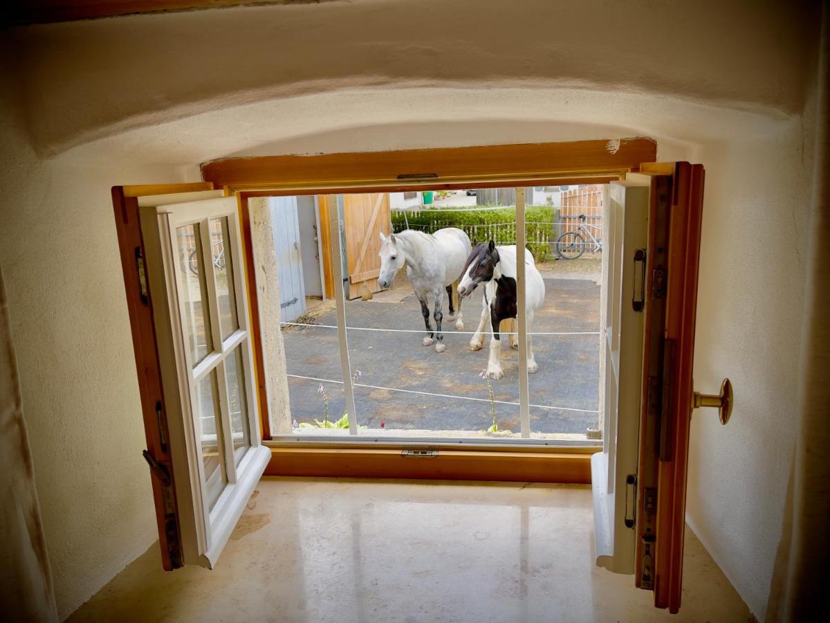 Rohrachhof Apartman Treuchtlingen Kültér fotó